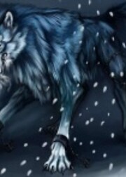 Darkwolf1