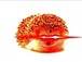 Fried_Hedgehog
