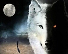 Dire_Wolf