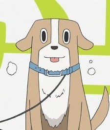 Barking