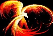 Phoenix_Phoenix