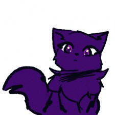 Kitcat7807