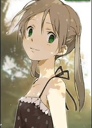 noelhoi