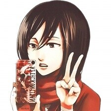Mikasa_San