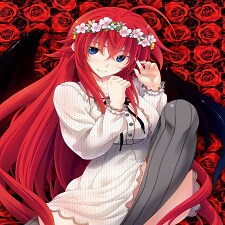 Rias_lover100