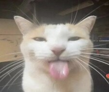 JefraLavoie