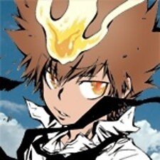 hikaru-shindo