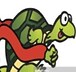 TurtleRacer12