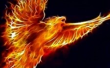 Phoenix_Wing