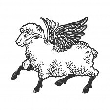 CommanderSheep