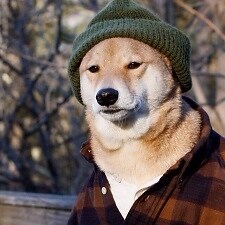 MyAnimeList profile picture for @Hurst