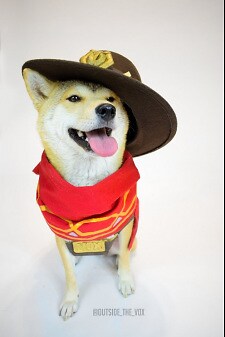 williamhiro