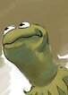 kermit94