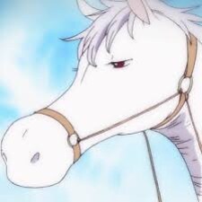 MyAnimeList profile picture for @horse