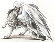 UnwitheredRose24
