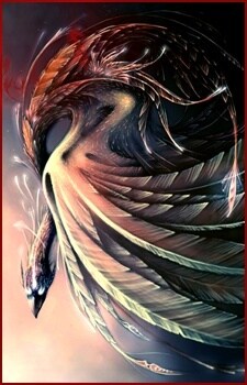 kuroi-phoenix