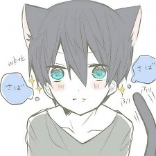 hayashiakiha