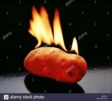 litpotato