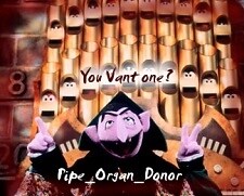 Pipe_Organ_Donor