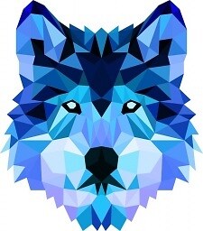 1BlueWolf