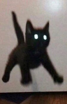 draculava