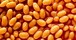 Beans2