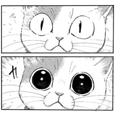 atashi-cat
