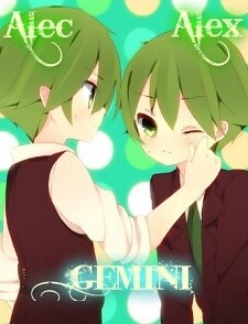 -Gemini