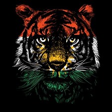 TigerOfKoya