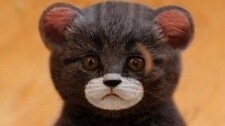 Tanakorn