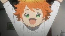 Tomate_Imperial
