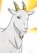 MrAnimeGoat