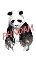p4ndam