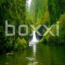 boxxi