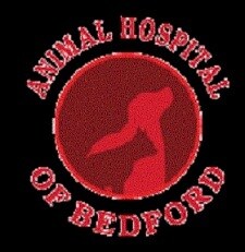 MyAnimeList profile picture for @Bedford