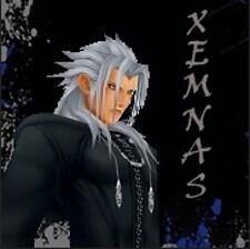 Xemnas19