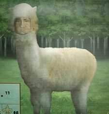 Alpacaman