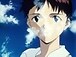 Shinji13