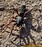WhiteTail8