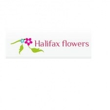 MyAnimeList profile picture for @Waterfront
