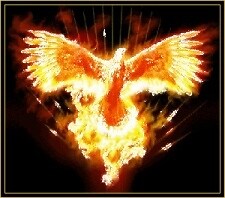phoenyx