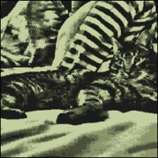 streepje8