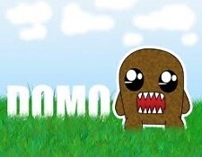 SilentDomo