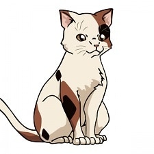 MyAnimeList profile picture for @shami