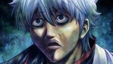 mellonii