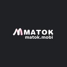 MyAnimeList profile picture for @matok