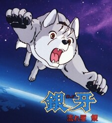 Findog