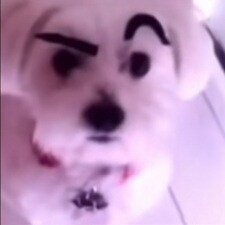 Minkquaa