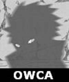 Owca