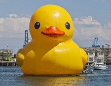 QUACKSAMA